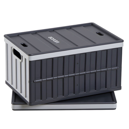 Plastic Collapsible Storage Bins with Lids, 65L 2 Packs, Stackable Folding Storage Crates with Handles, Holds 38 kg Per Bin, Heavy Duty Containers, Space-Saving Baskets, for Home Organizing