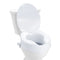 Raised Toilet Seat, 100 mm Height Raised, 136 kg Weight Capacity, Universal Toilet Seat Riser, Screw Rod Locking, with Toilet Seat, for Elderly, Handicap, Patient, Pregnant, Medical
