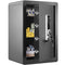 Safe 2.2 Cubic Feet Steel Home Cash Gold 15.75x13x23.6