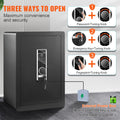 Safe 2.2 Cubic Feet Steel Home Cash Gold 15.75x13x23.6