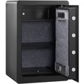 Safe 2.2 Cubic Feet Steel Home Cash Gold 15.75x13x23.6