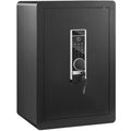 Safe 2.2 Cubic Feet Steel Home Cash Gold 15.75x13x23.6