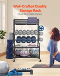 Home Gym Weight Dumbbell Rack Organizer 870x405x1010mm