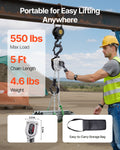 Manual Chain Hoist 1/4T 250KG 1.5M Lift G80 Steel Dual Pawl Brake