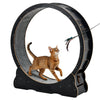 Cat Exercise Wheel 120cm Wooden Running Wheel Indoor Cats 12.7kg