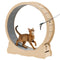Cat Exercise Wheel, 120cm Wooden Cat Running Wheel for Indoor Cats up to 12.7kg Cats Treadmill with Carpeted Runway & Locking Mechanism, Quiet Roller Kitten Sport Toys for Pets Fitness & Health