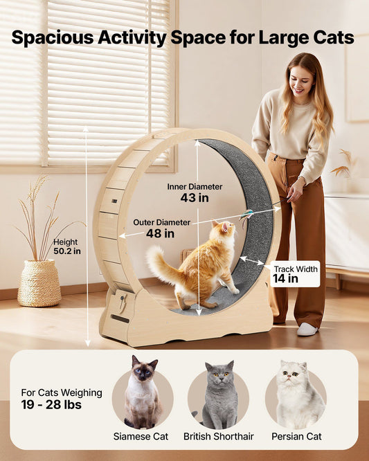 Cat Exercise Wheel 120cm Wooden Running Wheel Indoor Cats 12.7kg