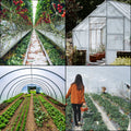Greenhouse Polyethylene Film 20x28 ft Plastic Cover