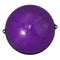 Levitex Half Exercise Ball 23