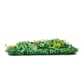 Artificial Grass Wall Panels 12PCS 20x20inch Boxwood Greenery
