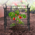 4x Plant Protector Cage 13.4'' Chicken Wire Mesh Outdoor Flowers