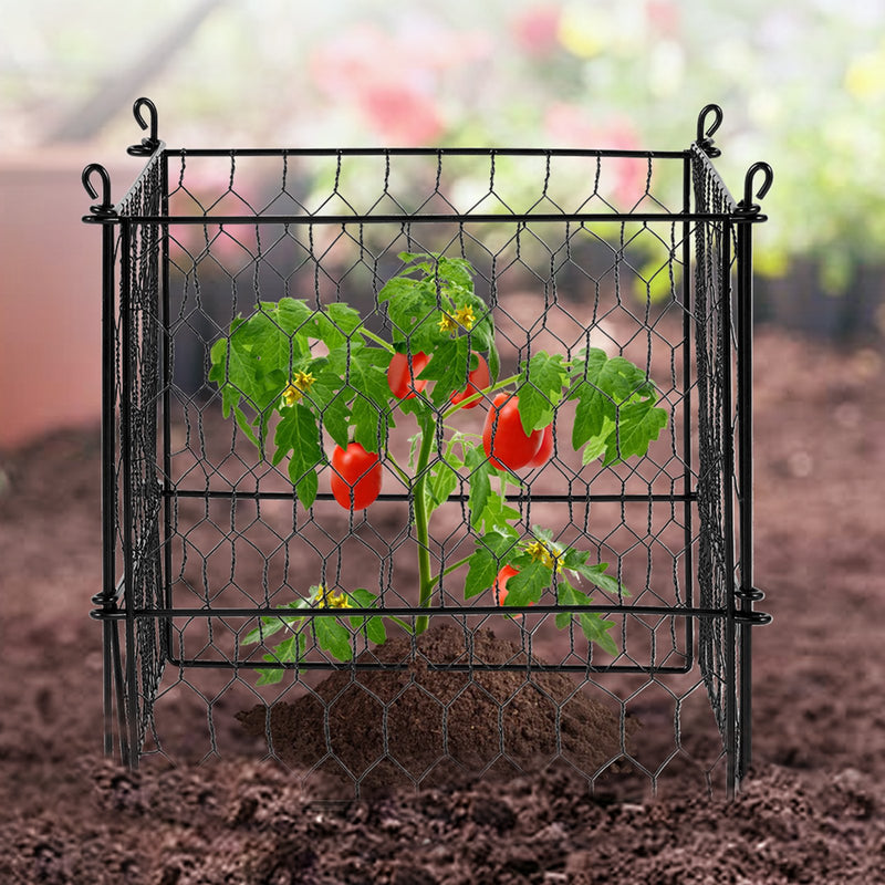 4x Plant Protector Cage 13.4'' Chicken Wire Mesh Outdoor Flowers