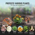 6 Pack Plant Protector Cage 320mm Chicken Wire Garden Mesh