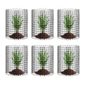 6 Pack Plant Protector Cage 320mm Chicken Wire Garden Mesh