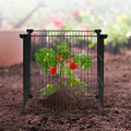 5pk Plant Protector Cages 390x390mm Chicken Wire Outdoor Flowers