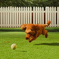 Artificial Grass 6x10ft Green Turf 1.38