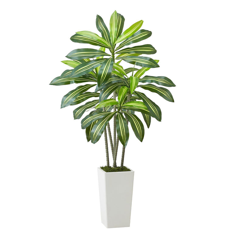 Articial Dracaena Tree 1524mm Fake Palm White Planter Faux Plant