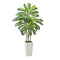 Articial Dracaena Tree 1524mm Fake Palm White Planter Faux Plant