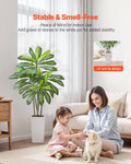 Articial Dracaena Tree 1524mm Fake Palm White Planter Faux Plant