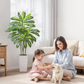 Articial Dracaena Tree 1524mm Fake Palm White Planter Faux Plant