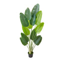 Artificial Bird of Paradise 1829mm 13 Trunks White Pot Fake Plant