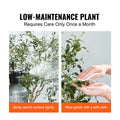 Artificial Olive Tree 15.2cm Faux Plant PE Potted Indoor Outdoor Decor