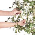 Artificial Olive Tree 15.2cm Faux Plant PE Potted Indoor Outdoor Decor