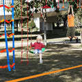 Ninja Warrior 15.24m Slackline 500lbs Capacity 10 Obstacles Outdoor
