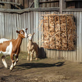 Livestock Hay Feeder 2 Pack 24 Gallon Wall Mounted Goat Rack