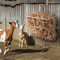 VEVOR Livestock Hay Feeder 18.5 Gallon Wall Mounted Goat Horse Rack