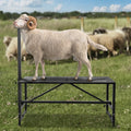 Livestock Stand 47x23