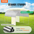 Walk-in Tunnel Greenhouse 9.58x6.43x6.23ft Galvanized Frame