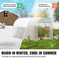 Walk-in Tunnel Greenhouse 9.58x6.43x6.23ft Galvanized Frame