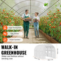Walk-in Tunnel Greenhouse 9.58x6.43x6.23ft Galvanized Frame