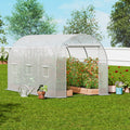 Walk-in Tunnel Greenhouse 9.58x6.43x6.23ft Galvanized Frame