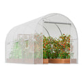 Walk-in Tunnel Greenhouse 9.58x6.43x6.23ft Galvanized Frame