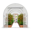 Walk-in Tunnel Greenhouse 9.58x6.43x6.23ft Galvanized Frame