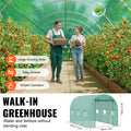Walk-in Tunnel Greenhouse 9.58x6.43x6.23ft Galvanized Frame