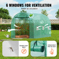 Walk-in Tunnel Greenhouse 9.58x6.43x6.23ft Galvanized Frame