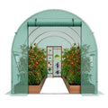 Walk-in Tunnel Greenhouse 9.58x6.43x6.23ft Galvanized Frame