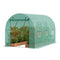 Walk-in Tunnel Greenhouse 11.32x6.4x6.3ft Galvanized Frame