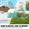 Walk-in Tunnel Greenhouse 11.32x6.4x6.3ft Galvanized Frame