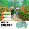 Walk-in Tunnel Greenhouse 11.32x6.4x6.3ft Galvanized Frame