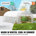 Tunnel Greenhouse 19.4x9.7x6.5ft Hoop House White PE Cover Roll-up Door