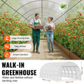 Tunnel Greenhouse 19.4x9.7x6.5ft Hoop House White PE Cover Roll-up Door