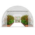 Tunnel Greenhouse 19.4x9.7x6.5ft Hoop House White PE Cover Roll-up Door