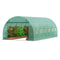 Walk-in Tunnel Greenhouse 19.4x9.7x6.5ft Steel Frame PE Cover