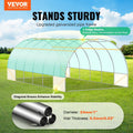 Walk-in Tunnel Greenhouse 19.4x9.7x6.5ft Steel Frame PE Cover