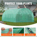 Walk-in Tunnel Greenhouse 19.4x9.7x6.5ft Steel Frame PE Cover
