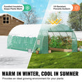 Walk-in Tunnel Greenhouse 19.4x9.7x6.5ft Steel Frame PE Cover